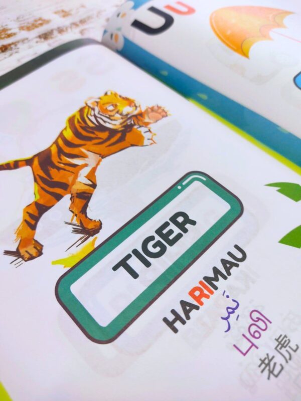 📗 ABC ALPHABET PICTURE WORDS - Image 3